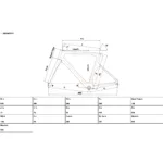 CADRU CINELLI SUPERSTAR Disc - imagine 6